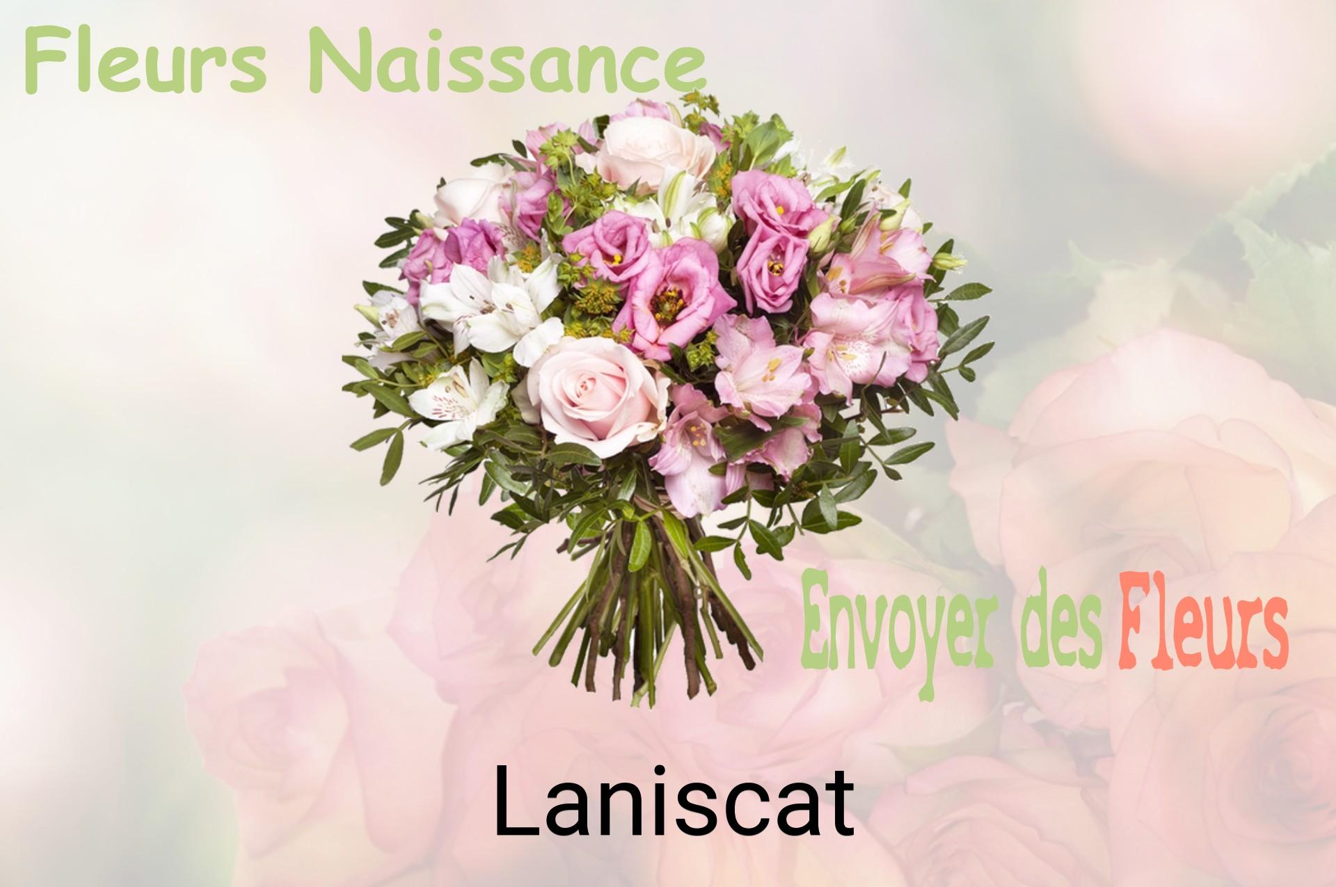 Bouquet de fleurs de naissance livré à Laniscat